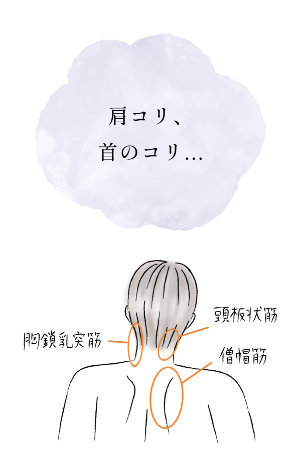 肩コリ、首のコリ...